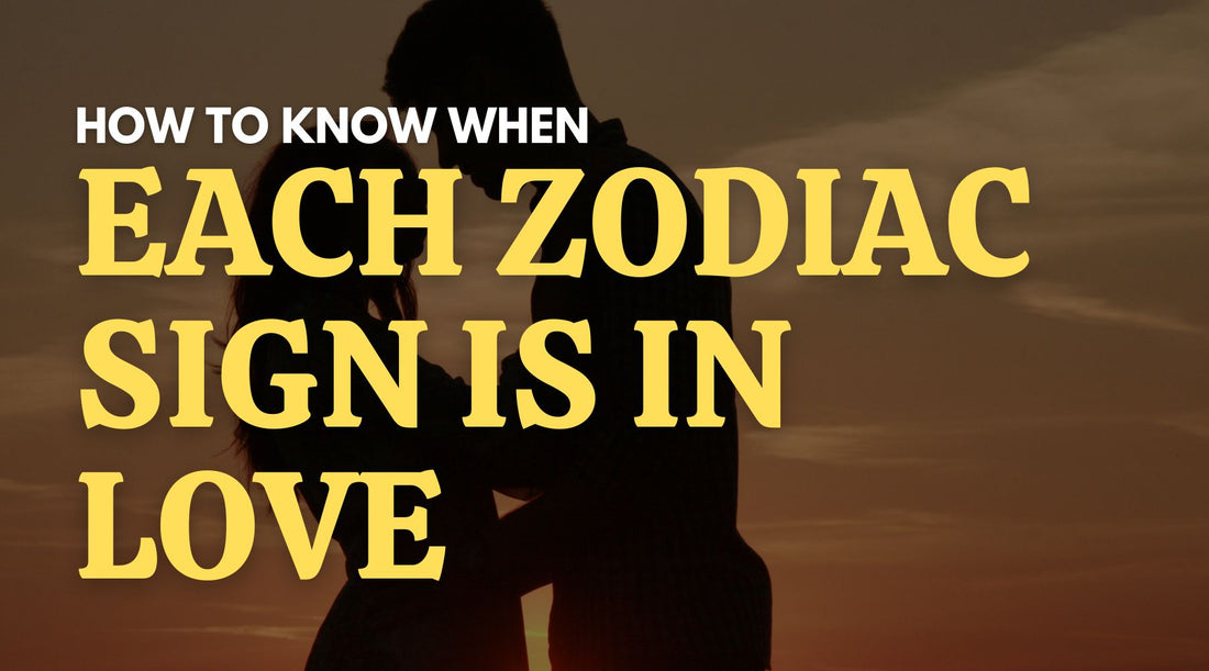 How to know when each zodiac signs are in love cover