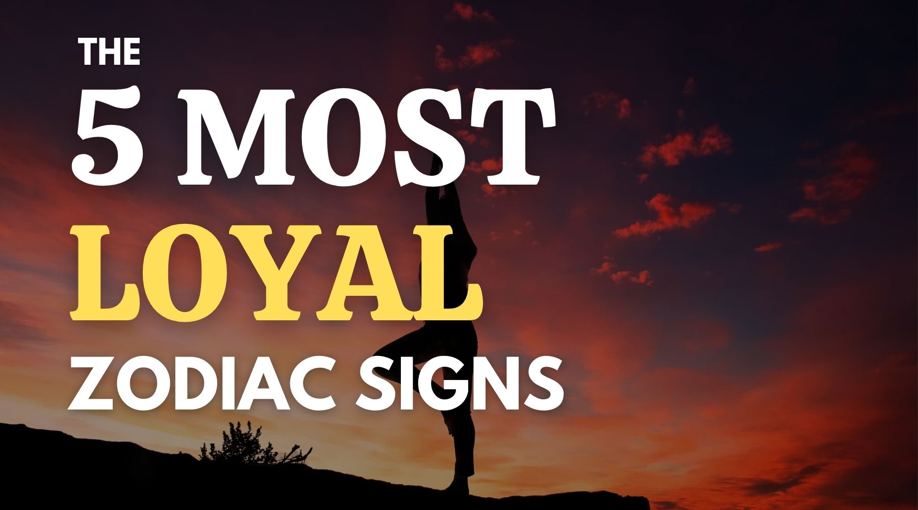 The 5 most loyal zodiac signs - They will never leave your side