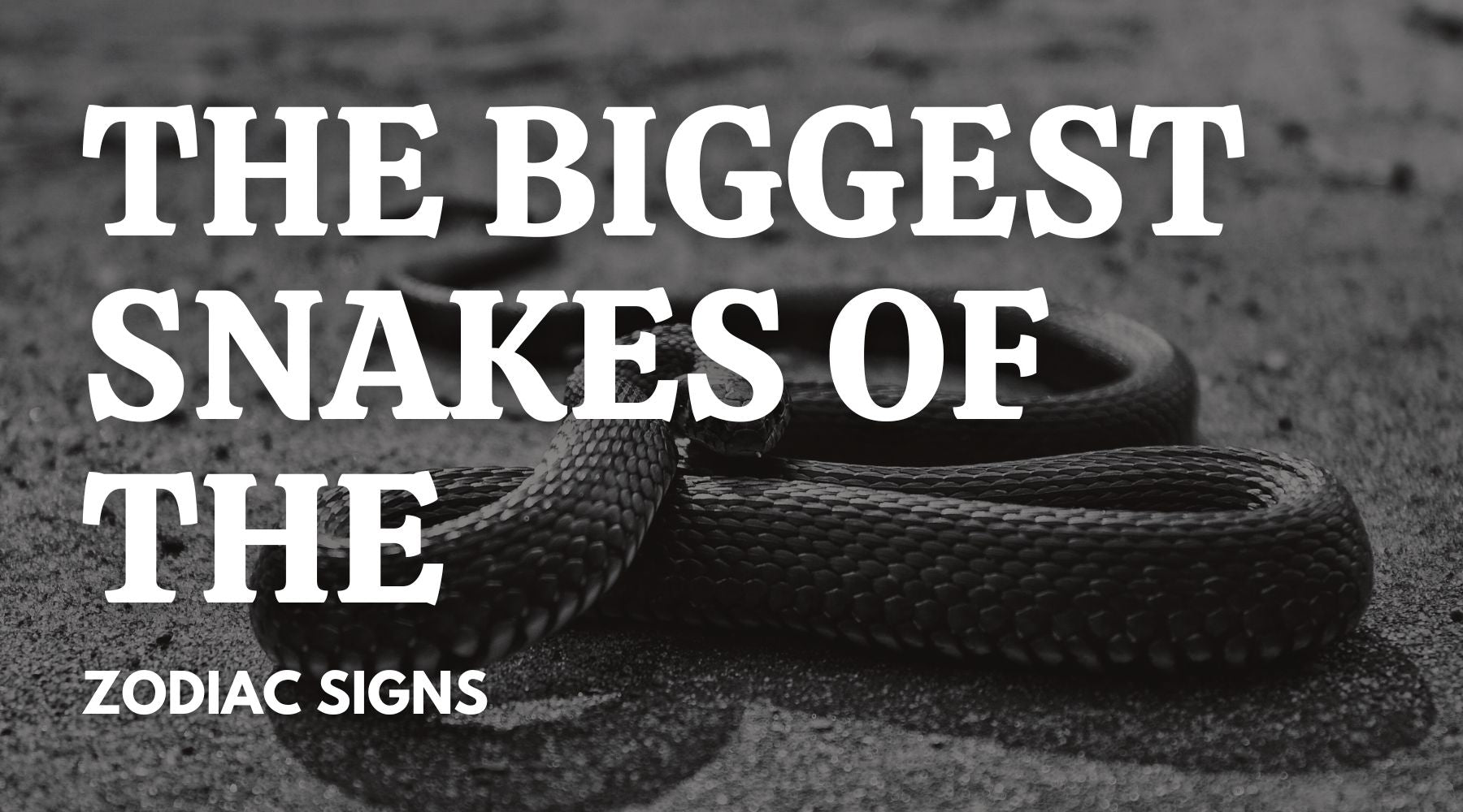 The Zodiac Signs Known for Their Sly Traits: A Peek into Astrology's 'Snakes'